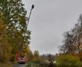 Bild: Stadt Waldsassen/exb
Der Rettungskorb der Feuerwehrleiter markiert den Punkt, wie weit der künftige Aussichtsturm in den Himmel ragen soll.