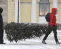Bild: Heikki Saukkomaa/dpa
Im Schneetreiben tragen zwei Männer einen Christbaum nach Hause. Doch allzu oft kommt es in Deutschland nicht vor, dass es an Weihnachten schneit.