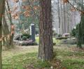 Bild: Gabi Schönberger
Neben Erdgräbern – wie hier im Bild – und Urnengräbern soll es am Waldfriedhof in Weiden in naher Zukunft auch Flächen für Naturbestattungen geben. Welche Gebühren für die langjährige Nutzung erhoben werden, wird der Stadtrat in seiner Sitzung am Montag entscheiden.