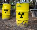 Bild: Philipp Schulze/dpa
Symbolische Atommüllfässer stehen unweit vom ehemaligen Erkundungsbergwerk Gorleben im Wald. In Deutschland wird nach einem neuen Atommüll-Endlager gesucht.