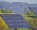 Bild: Jan Woitas/dpa
Solarpanele in einem Solarpark (Symbolbild): Zu einer solchen Anlage hat die Gemeinde Kümmersbruck erstmals eine Bürgerbefragung gemacht. Zu dieser Form der Beteiligung gibt es unterschiedliche Meinungen in der Onetz-Redaktion.