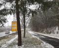 Bild: Gabi Schönberger
Den Wald im Weidener Westen will das Aktionsbündnis retten. Dazu ruft es die Stadt zur interkommunalen Zusammenarbeit auf.