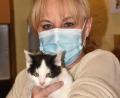 Bild: hcz
Tierheimleiterin Jutta Böhm mit Katerchen "Cedrik" . Er ist 14 Wochen alt und wurde zusammen mit zwei Geschwisterchen im Tierheim abgegeben.