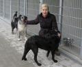 Bild: Hirsch
Die Vorsitzende des Tierschutzvereins Schwandorf, Gabriele Hahn, hat die Vermittlung von Tieren bis 10. Januar gestoppt.