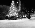 Archivbild: Helmut Zagler
Marktplatz um 1950 mit Weihnachtsbaum und Jeep im Hintergrund.