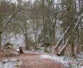 Bild: ow
Der Rauhe Kulm ist nach wie vor für Wanderer gesperrt. Spuren im Schnee zeigen aber, dass sich nicht jeder daran zu halten scheint.
