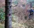 Bild: bkr
Eingezäunt mitten im Wald ist eine der fünf zu sanierenden Trinkwasserquellen. Bürgermeister Thomas Kaufmann steht am Quellstein. Nur dieser ist sichtbar. Die Quellfassung selbst liegt im Verborgenen und muss zur Sanierung sensibel geöffnet werden. Der rote Ring am Baum bedeutet, dass er gefällt werden muss.