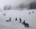 Bild: ck
Rund um den Fahrenberg war am Wochenende viel los. Zahlreiche Familien aus der Umgebung fuhren zum Ski- und Snowboardzentrum und sausten mit Schlitten die Hügel hinunter. Von den Wintersportlern bevölkert war dabei hauptsächlich der Gegenhang zur normalen Skiabfahrt. Aber auch rund um den Gipfel tummelten sich die Schlittenfahrer.