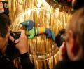 Bild: Rolf Vennenbernd/dpa
Das Maskottchen der Olympischen Spiele von 1972 in München, "Dackel Waldi", wurde vor genau 50 Jahren offiziell präsentiert. Das Stofftier wurde auch in Schwandorf produziert.