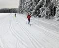 Bild: Eger
Der Schnee reicht: Die Loipen in Herzogöd bei Fuchsmühl sind seit Freitagmittag gespurt.