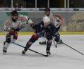 Bild: gb
Die Blue Devils unterlagen am Freitag dem Höchstadter EC verdient mit 2:3. Neuzugang Dennis Thielsch (blaues Trikot) zeigte bei seinem Debüt einige positive Ansätze, insgesamt fehlte aber verständlicherweise noch die Bindung zu seinen Nebenleuten.