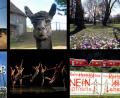 Bild: OberpfalzMedien
Das sind die Bilder des Jahres 2020 der Fotografen der Oberpfalz-Medien.