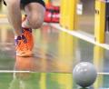 Bild: Hubert Ziegler
Wann rollt die Kugel wieder? Die Sportkegler in Bayern haben ihren Saisonstart um vier Wochen auf 10./11. Oktober verlegt.