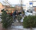 Bild: gf
Gut beschäftigt ist die Junge Union Poppenricht-Traßlberg, als sie am Samstagvormittag die am Straßenrand abgelegten Christbäume einsammelt und zum Wertstoffhof in Traßlberg bringt.