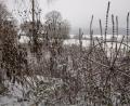 Bild: Hans Eiber
Für einen Gartenbesitzer gibt es immer was zu tun und im Gartenjahr sind jeden Monat unterschiedliche Arbeiten zu erledigen. Der Winter steht für eine Durchschnaufpause, bevor das neue Gartenjahr startet, doch es gibt trotzdem genügend Dinge zu erledigen.