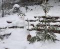 Bild: lei
Die Schneemannsfamilie von Sabine Haller und Bernd Dressel aus Hirschbach war im neuen Jahr bereits fleißig.