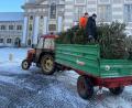 Bild: Junge Union Waldsassen/exb
Einer der Christbaum-Abholtrupps der Jungen Union und der Landjugend Kondrau vor der imposanten Kulisse am Basilikaplatz in Waldsassen.
