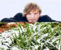 Bild: anm
In der zweiten Wochenhälfte wird es milder, teils stürmisch, und die Niederschläge gehen häufig in Regen über. Bei +3 bis +8 Grad muss man dann anhand der zu erwartenden Regenmengen auch nach eventuellem Hochwasser schauen.