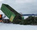 Bild: Georg Schmid/exb
Ein Container mit zahlreichen Christbäumen wird abgeladen