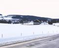 Bild: Portner
An der Kreisstraße zwischen Oberviechtach (im Hintergrund) und Wildeppenried entsteht links und rechts eine Freiflächen-Photovoltaikanlage. Für den „Solarpark 2 Oberviechtach“ stand die Abwägung der Stellungnahmen an.