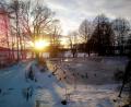 Bild: fpoz
Der Brunner-Weiher im Abendlicht.