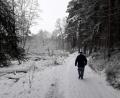 Bild: Robert Werner
Das ideyllische Röthenbächel mit seinen schönen Wäldern ist auch im Winter ein beliebtes Ausflugsgebiet.