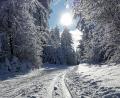 Bild: Werner Hopf/exb
Eine paradiesische Winterlandschaft findet der Erholungssuchende auch auf der Silberhütte - und in der freien Natur auch eine Möglichkeit für den Individualsport.