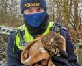 Bild: Polizeipräsidium Oberpfalz
Polizisten der Polizei Neutraubling retteten einen verletzten Mausebussard.