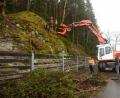 Bild: bey
Bürgermeister Sebastian Hartl, Geschäftsleiter Michael Gräf und Bauhofleiter Stephan Glossner (von rechts) beobachten die fast schon waghalsigen Baumfällarbeiten an der Felswand zwischen Luhe am Forst und Grünau. Die Mitarbeiter der Firma Härtl, Mitterteich, erledigen ihre Arbeiten am Seil hängend.