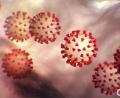Bild: Center for Disease Control/Planet Pix via ZUMA Wire/dpa
Die Stadt Weiden hat seit Donnerstag wieder eine 7-Tage-Inzidenz von über 200.