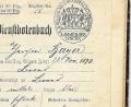 Bild: ld
Die erste Seiten eines Dienstbotenbuches aus dem Jahr 1910. Neben dem Namen sind mehrere Merkmale eingetragen, und auch der Preis ist ersichtlich.