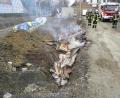 Bild: dob
Unerlaubtes Verbrennen von Müll kann teuer zu stehen kommen. Die Vohenstraußer Feuerwehr löschte das Feuer.