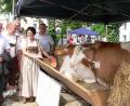 Archivbild: rn
Besondere Aufmerksamkeit genießen beim Eschenbacher Bauernmarkt stets die Kühe von Franz Völkl. Die heuer wieder geplante Großveranstaltung wird wegen der Corona-Pandemie jedoch abgesagt.