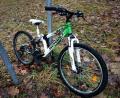 Bild: gz
Seit Wochen steht im südlichen Bereich der Freizeitanlage Atzmannsee ein Kinderfahrrad.