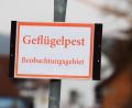Bild: Nicolas Armer/dpa
Ein Schild mit der Aufschrift Geflügelpest - Beobachtungsgebiet ist zu sehen. Experten befürchten, dass sich die Infektionskrankheit in Bayern noch weiter ausbreitet.