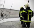 Bild: jma
Zwei Mitglieder der Feuerwehr Eschenbach versuchten an das Tier zu kommen.