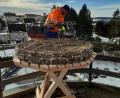 Bild: Stadt Vohenstrauß/exb
Markus Süß gehört zu den Männern des Bauhofteams, die das neue Storchennest auf dem Salzsilo in 20 Metern Höhe errichteten.