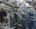 Bild: KuBZ/exb
Die aktuellen Temperaturen sorgen auch für beeindruckende Motive in der Natur.