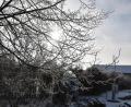 Bild: KuBZ/exb
Winterruhe herrscht zurzeit im Naturerlebnisgarten auf dem Gelände des Klosters Waldsassen. Die CSU-Landtagsfraktion hat die institutionelle Förderung der Stiftung Kultur- und Begegnungszentrum Abtei Waldsassen dieses Jahr um 37.000 Euro aufgestockt, damit der durch Corona beeinträchtigte Betrieb fortgesetzt werden kann.
