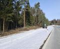 Bild: sne
Die Rodungsarbeiten entlang der Bundesstraße 470 haben bereits begonnen. Dort soll bald ein Fahrradweg von Riggau nach Hessenreuth führen.