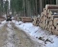 Bild: jma
Für das Holz, das momentan im Bereich der Hohen Tanne eingeschlagen wird, lässt sich momentan auf dem Markt ein guter Preis erzielen.