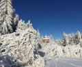 Bild: awo
Winterzauber am Grenzkamm.