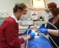 Bild: Gabi Schönberger
Zahnvorsorge ist wichtig, betont auch der Weidener Dentist Dr. Michael Emmrich (links). Doch während des Corona-Lockdowns hat auch er in seiner Praxis einen Rückgang der Patientenzahlen bemerkt.