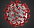 Bild: Centers for Disease Control and Prevention illustration
Die Corona-Fallzahlen sind am Wochenende in Weiden und im Landkreis Neustadt/WN nochmals gestiegen.