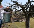 Bild: do
Kaum sind die ersten warmen Tage im Frühjahr da, geht es im Garten wieder los. Hans Rupprecht, Vorsitzender des Obst- und Gartenbauvereins Eschenbach, zwickt seinen Obstbaum zurecht. Die Schere sollte man aber noch nicht überall im Garten ansetzen.