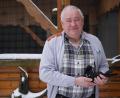 Bild: kaz
Helmut Kopp ist Vorsitzender des Kleintierzuchtvereins in Kulmain. In seinem Garten hält er verschiedene Tauben- und Hühnerrassen.