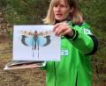 Bild: Hirsch
Gebietsbetreuerin Birgit Simmeth leitet Führungen durch das Naturschutzgebiet und erzählt von den Lebensbedingungen der „Blauflügeligen Ödlandschrecke“.
