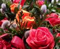 Bild: ads
Liebevoll gebunden: Rote Rosen aus Krepppapier und Schleifchen zieren den Palmbuschen – neben Palmkätzchen und allerlei Grün.