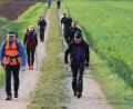 Bild: Christian Koch/exb
Im Wandertempo geht es am 19. Juni durch den westlichen Landkreis Amberg-Sulzbach.