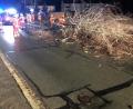 Bild: Feuerwehr Weiherammer/exb 
In Weiherhammer zersägte die Feuerwehr eine umgestürzte Birke in der Hauptstraße.
